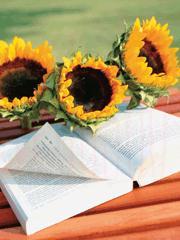 当富二代遇到富二代