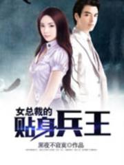 女总裁的贴身兵王