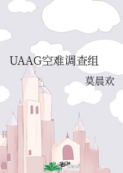 UAAG空难调查组
